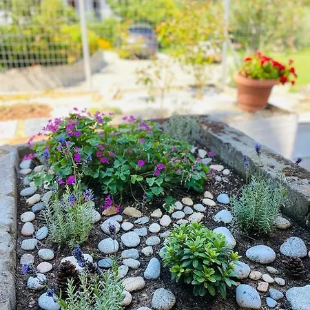 Palio * PalaiónTsiflíkion